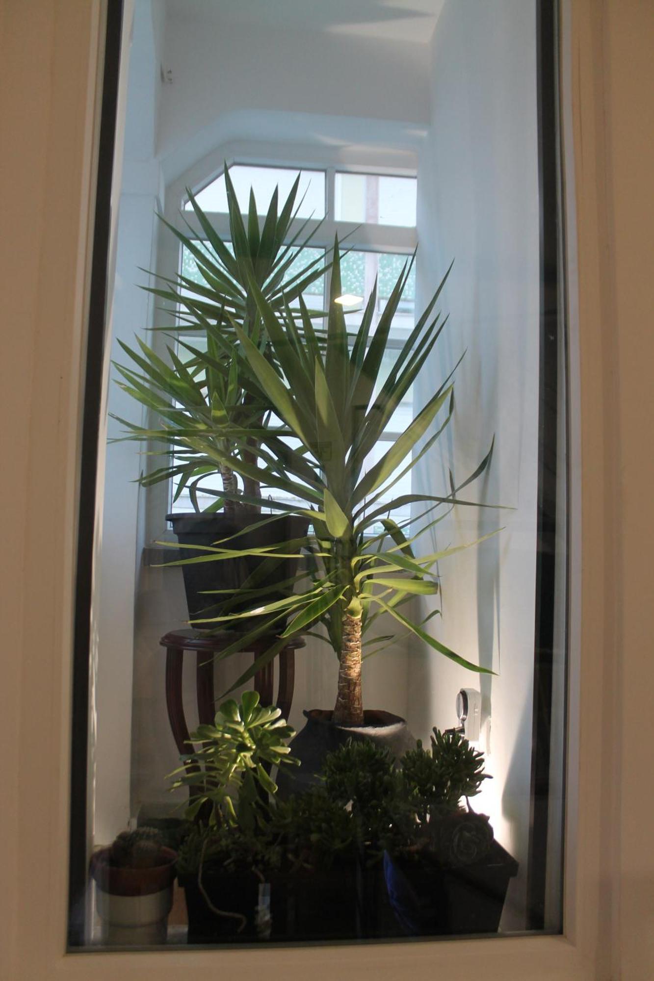 Real Guest House Costa da Caparica Dış mekan fotoğraf